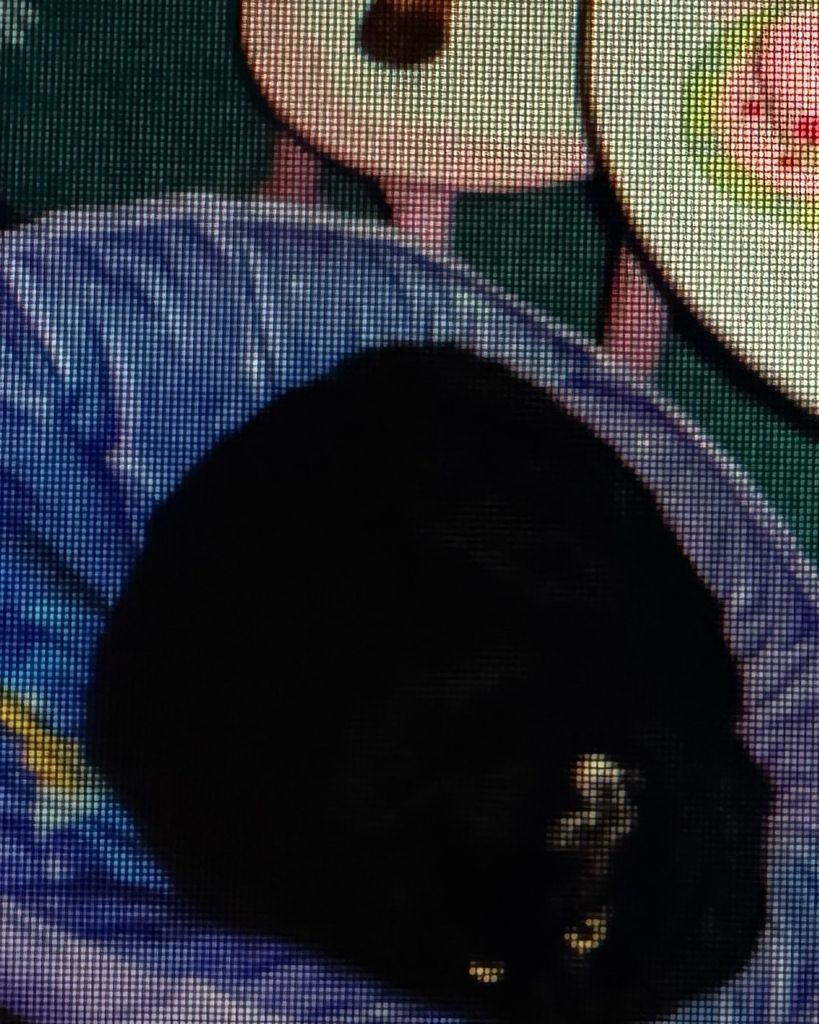 Chuck Profile Photo