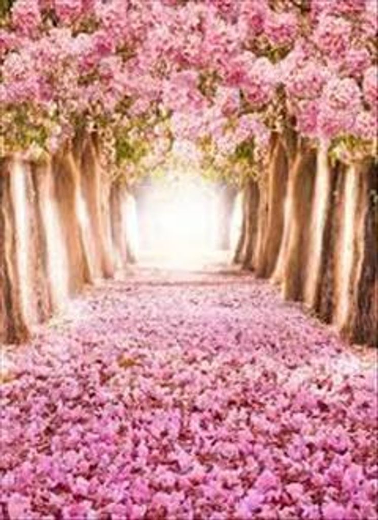 Janice Sabo Profile Photo