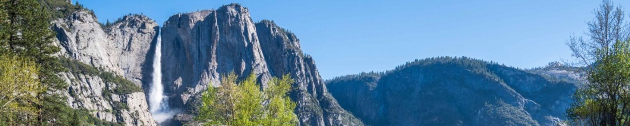 Cover for Charles Eugene Diemer's Obituary