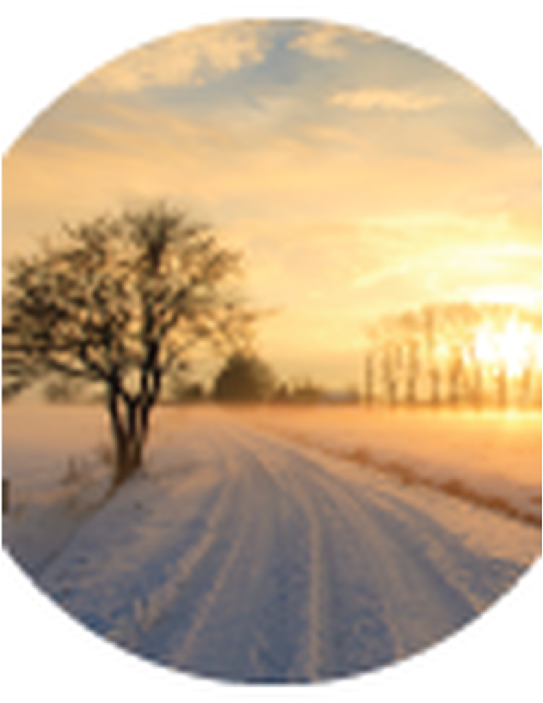 Mary Emma Fitzgerald