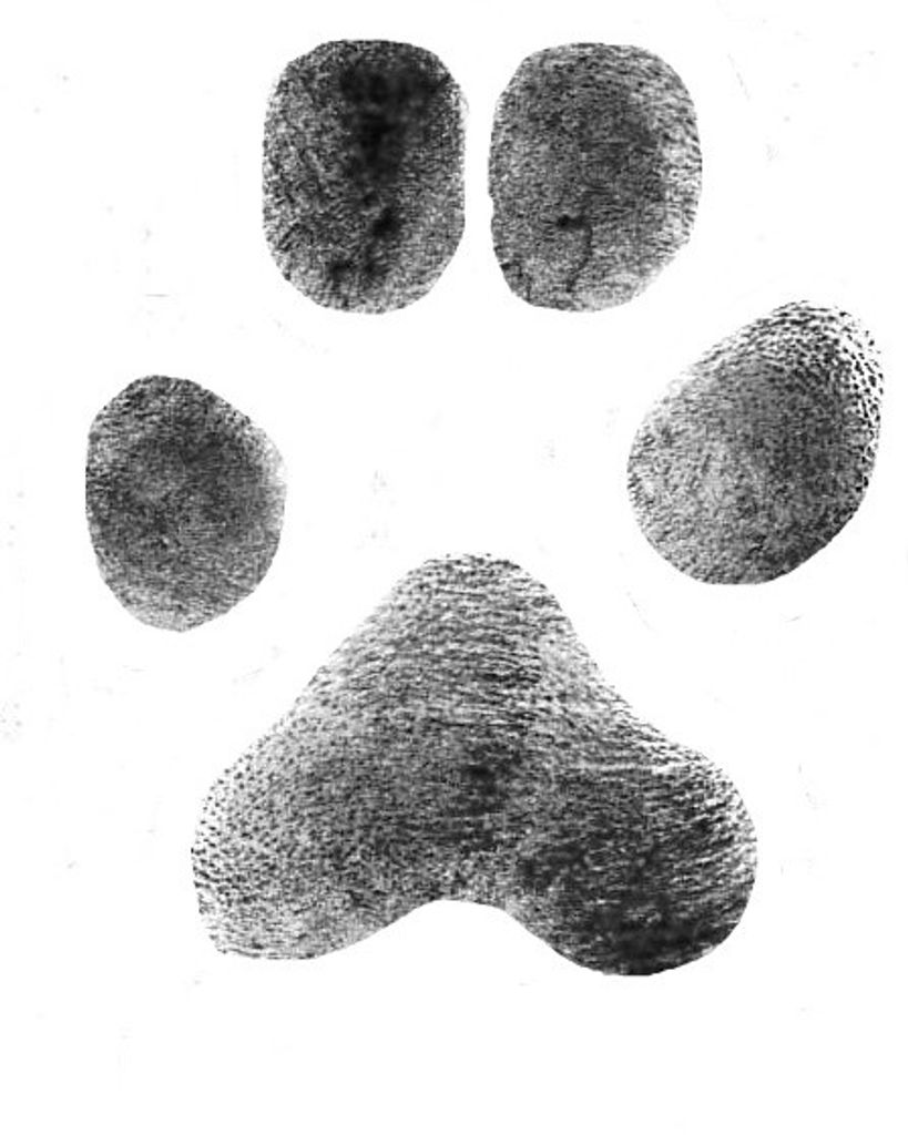 Molly Blake Profile Photo