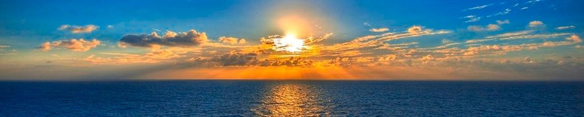 Cover photo for Danielle L. DiRocco's Obituary