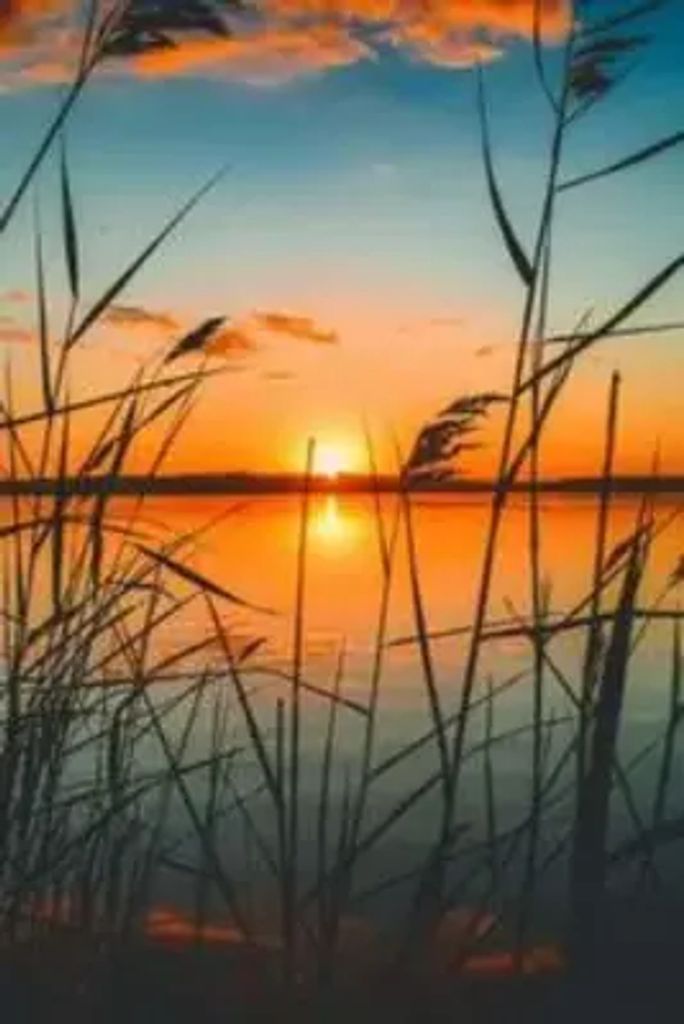 Karen Helen Woodard