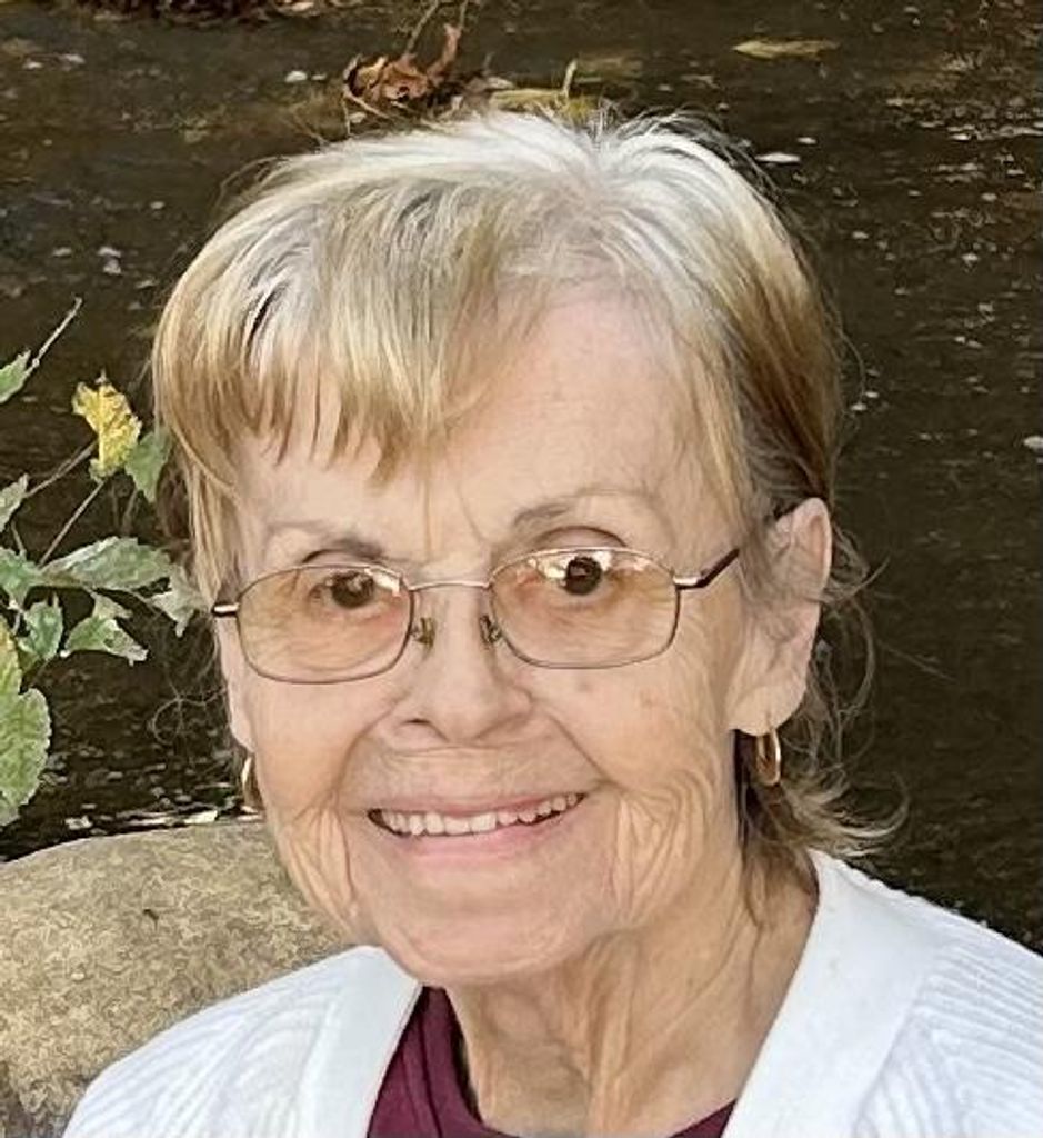 Sandra M. (Lynn)  Sichi