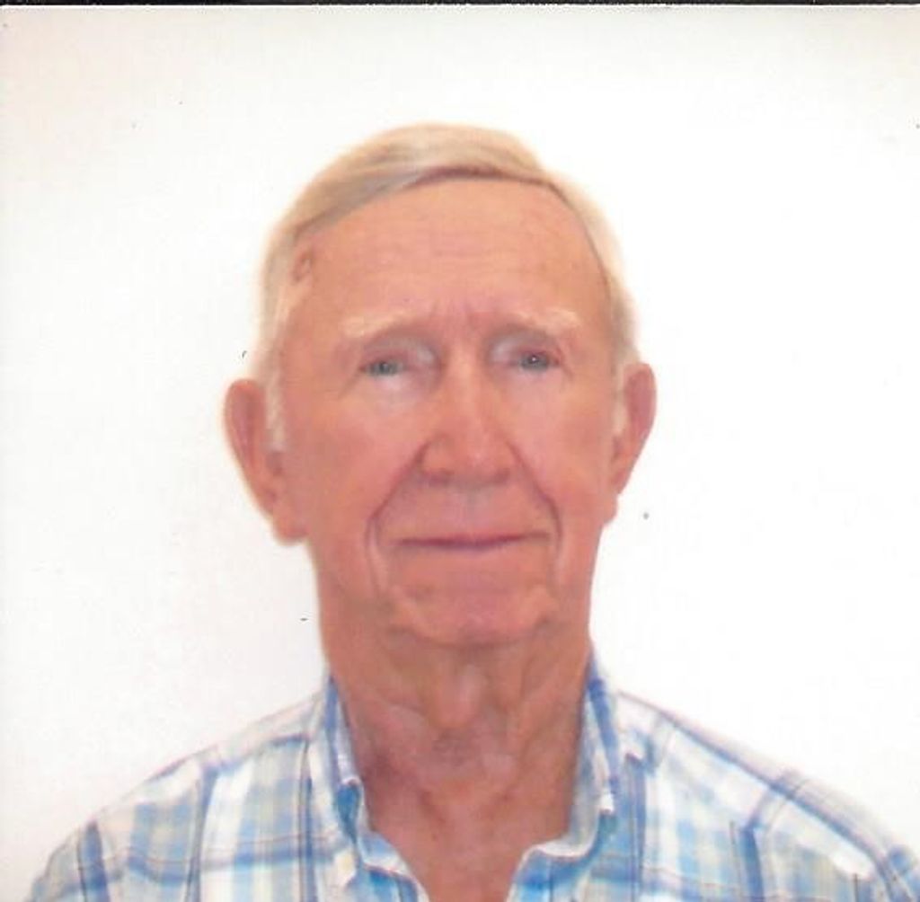 Dale L. Hitchings
