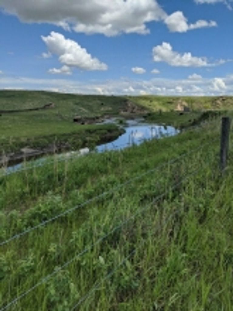 Ellis Reimer Profile Photo