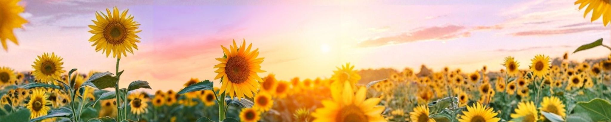 Cover photo for Bernice Buchanan's Obituary