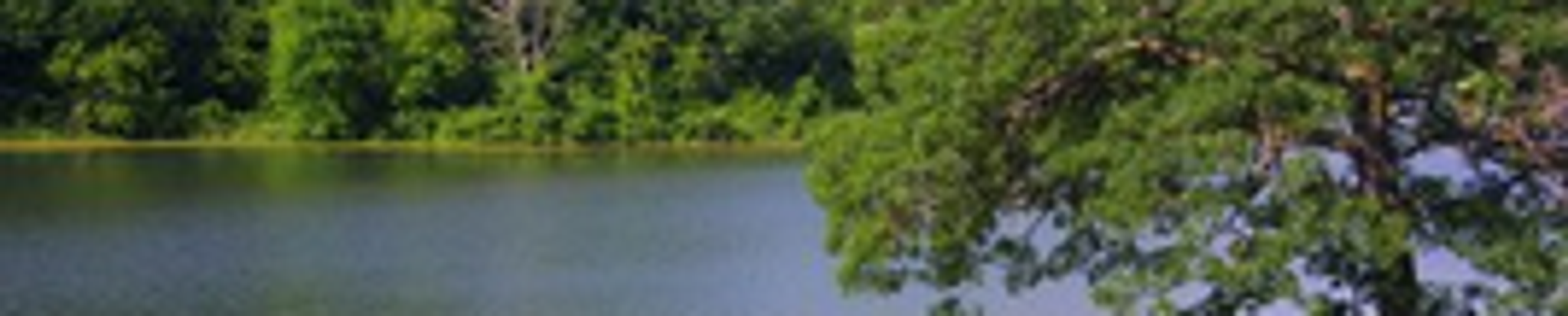 Cover for Darrell Arntzen's Obituary