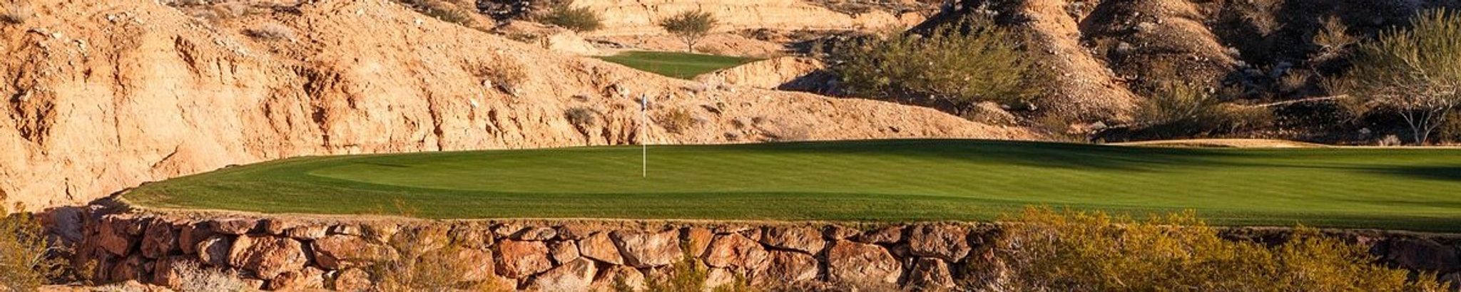 Cover for Gerradina Johanna Gray's Obituary