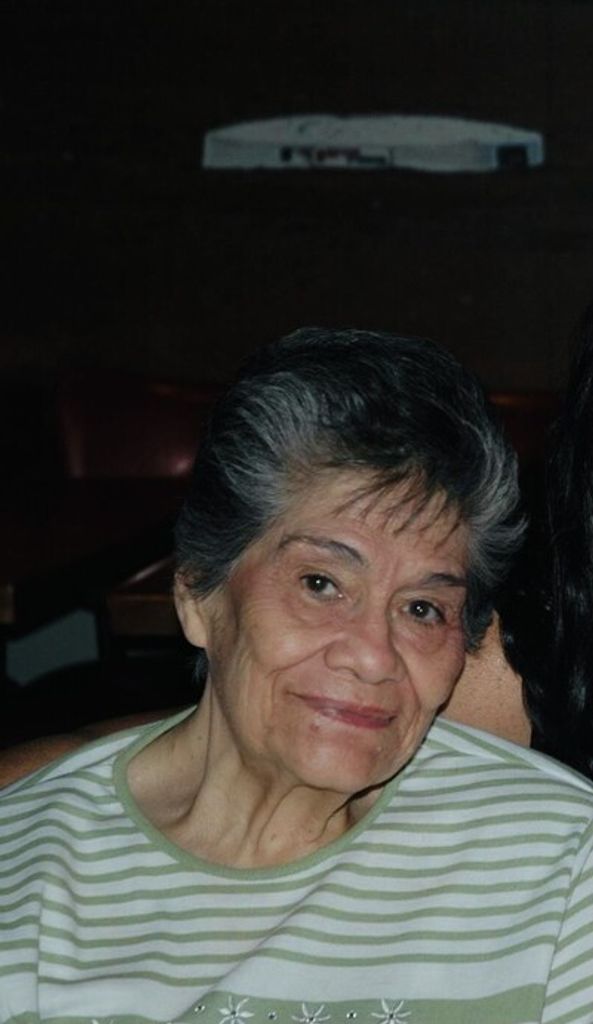 Phyllis M Renner Profile Photo