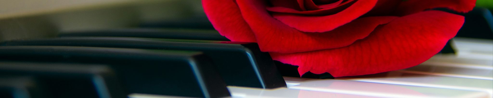 Cover photo for Anna Maria Pizzolato's Obituary