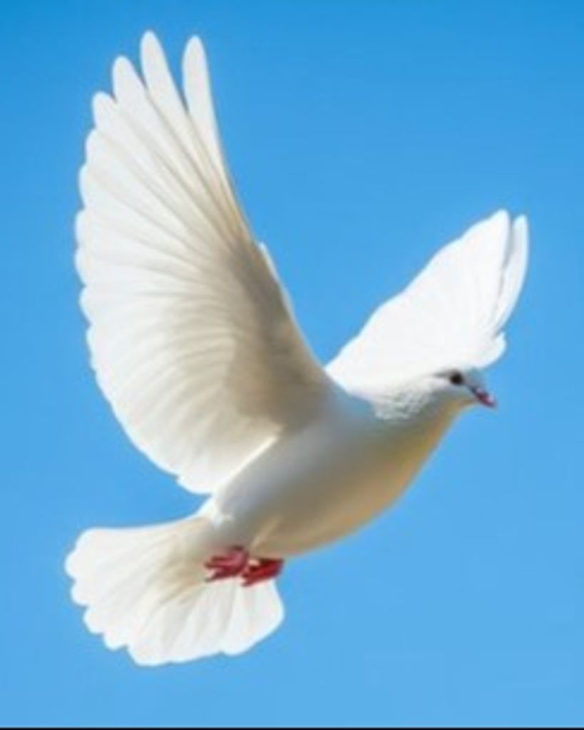 Barbara Ann Clemons Profile Photo