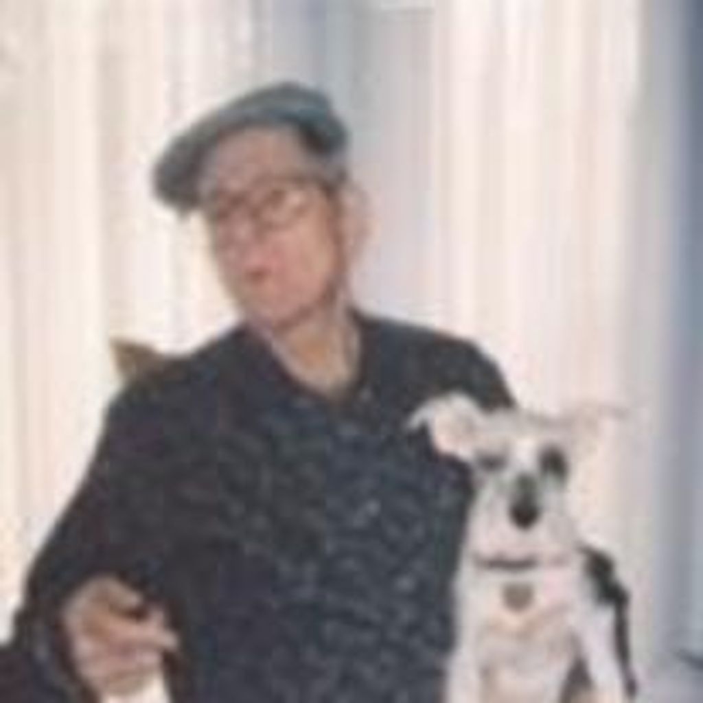 David Hoy