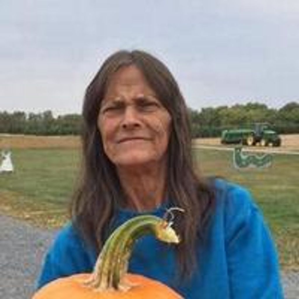 Vicki Cook Profile Photo