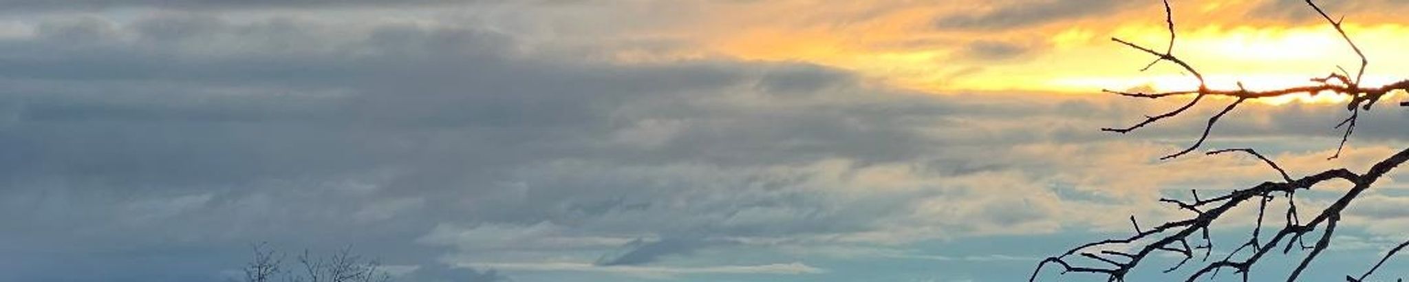 Cover photo for Jim Calanchini's Obituary