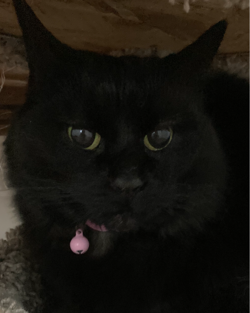 Ella Profile Photo