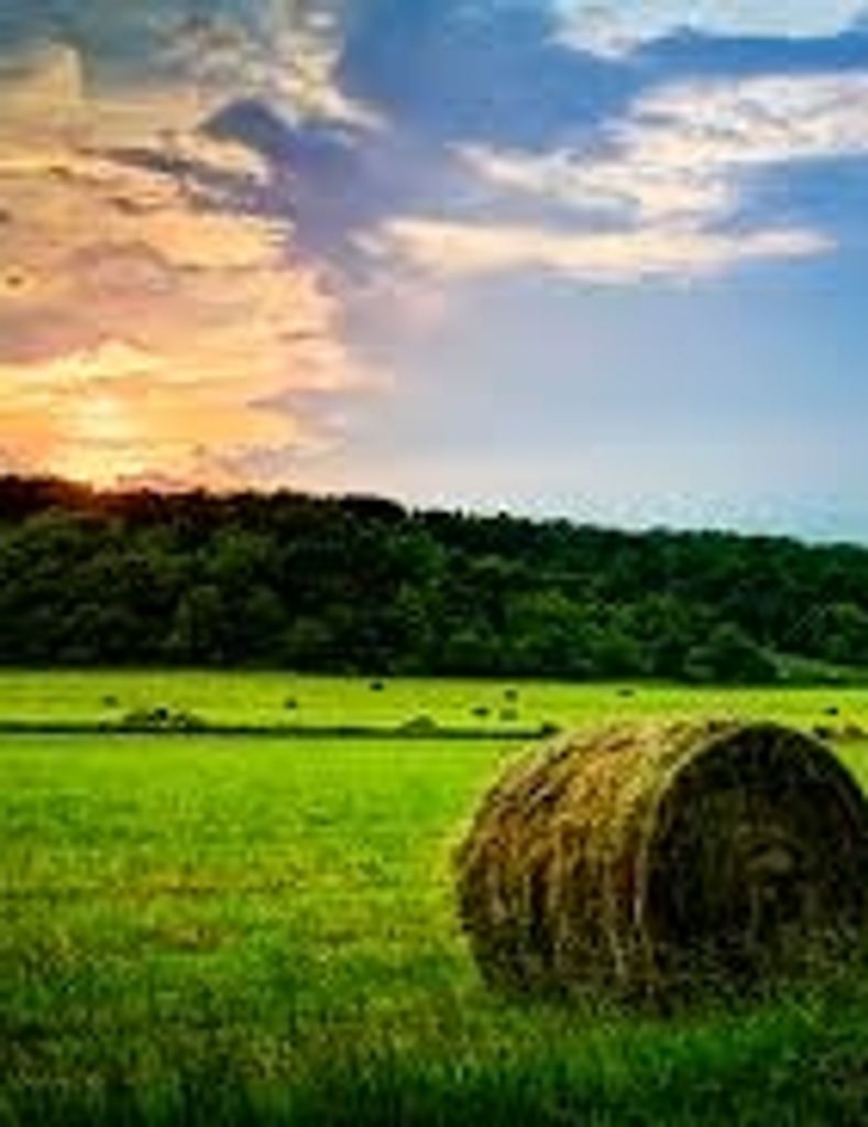 John Wendell Ashley, Sr. Profile Photo