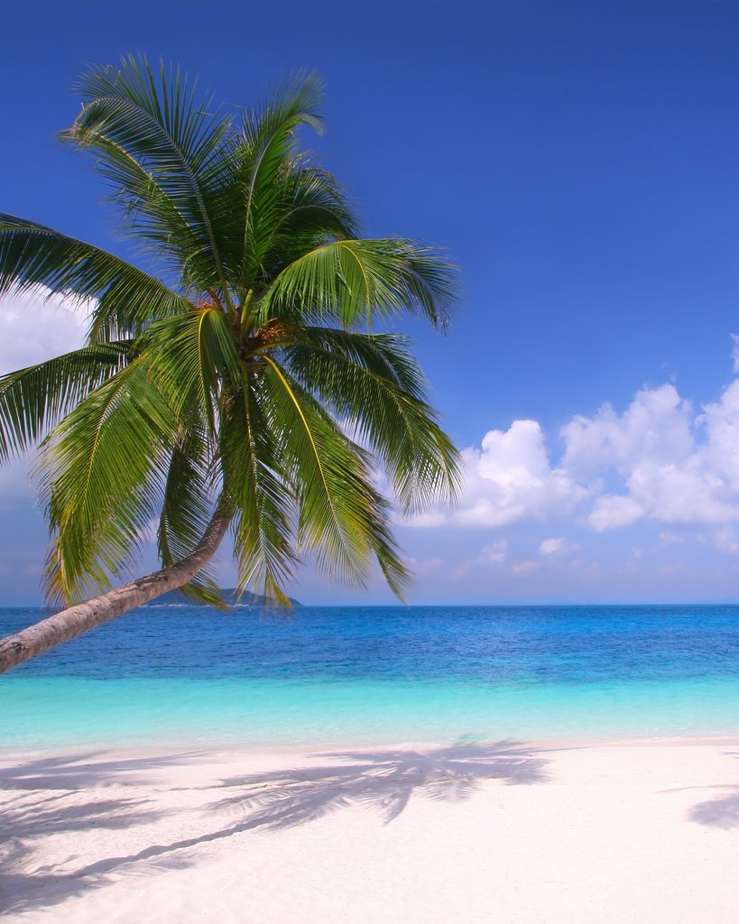 Alfred Michael DeCosta Profile Photo