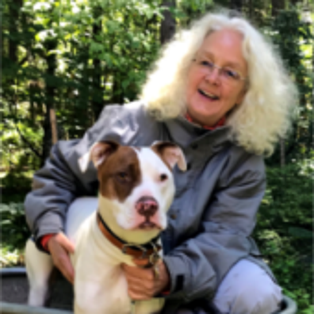 Paula Ann Springhart