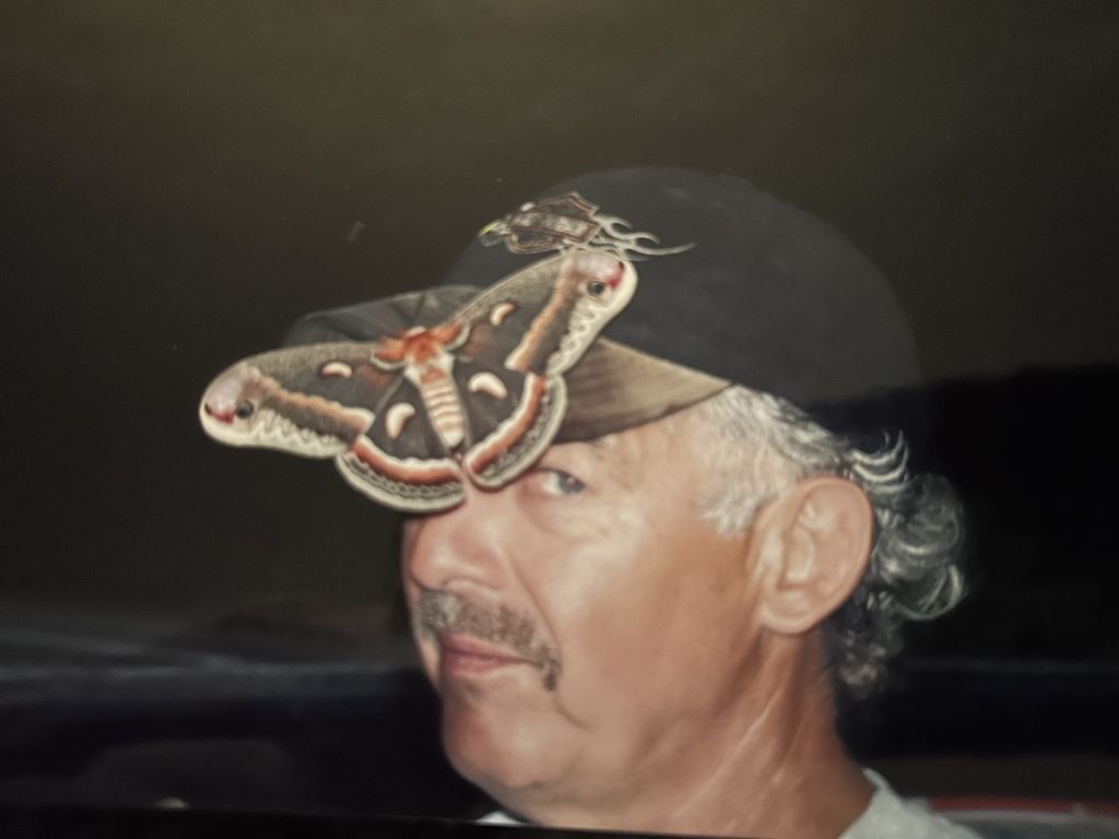 Robert J. Hatlan Profile Photo