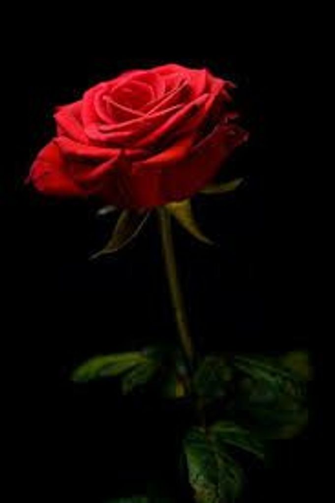 Joanne M. Wagstaff