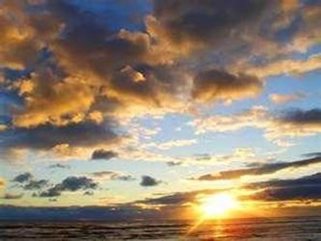 Tevin D. Gillum Profile Photo