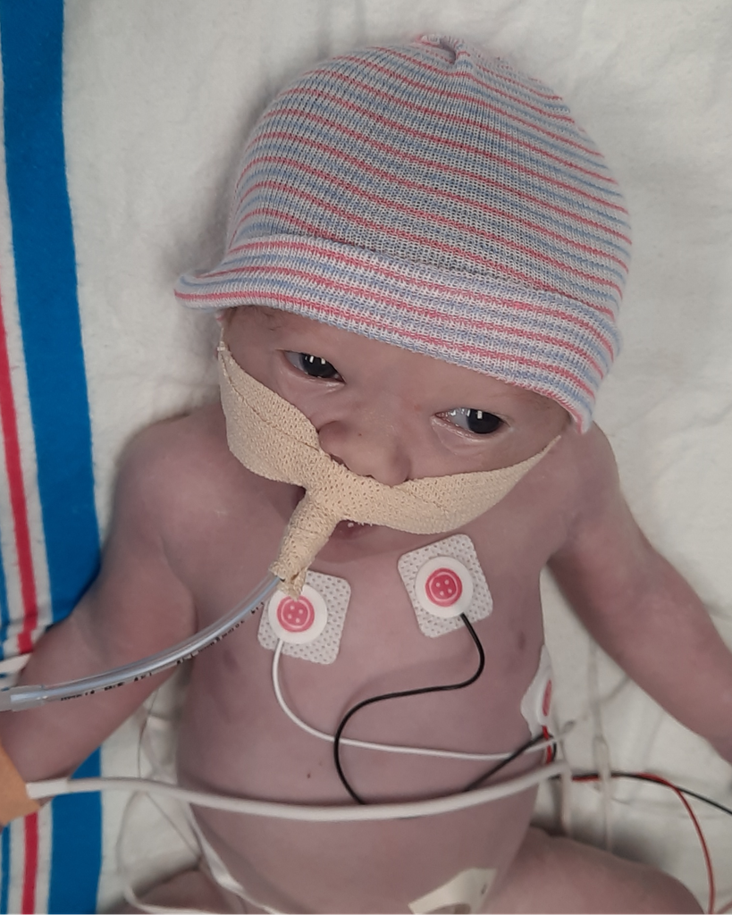 Elena Grace Orr