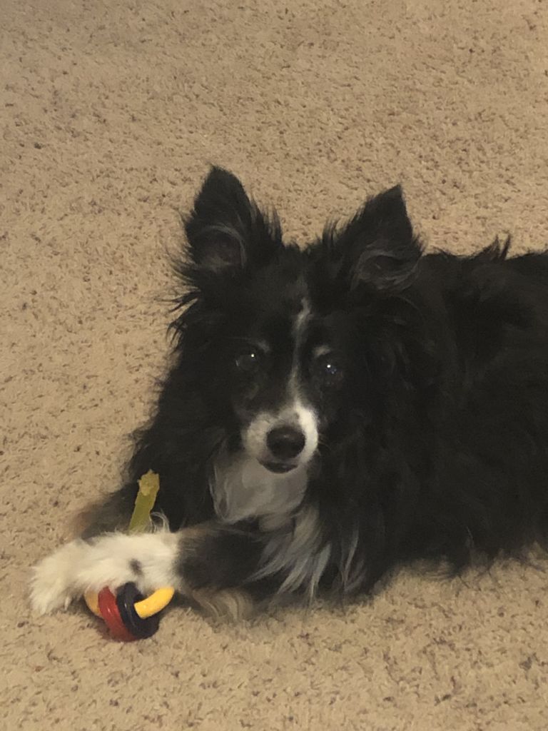 Shelby Profile Photo
