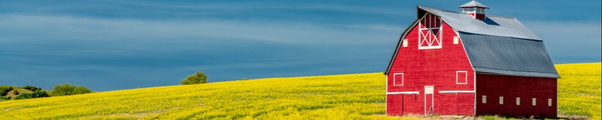Cover photo for Thomas Daniel Renner's Obituary