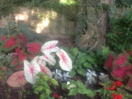 Sandra L. Stowers photo gallery thumbnail 43 of 100
