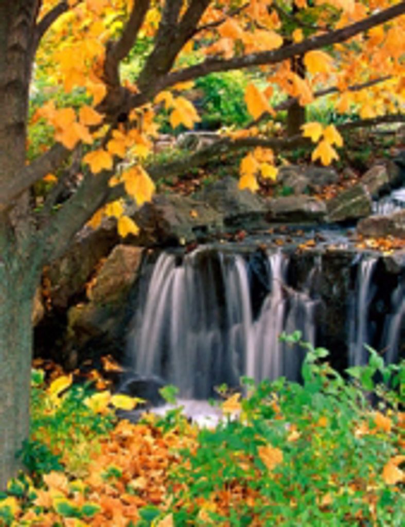 Sandra Louise McCain Fountain