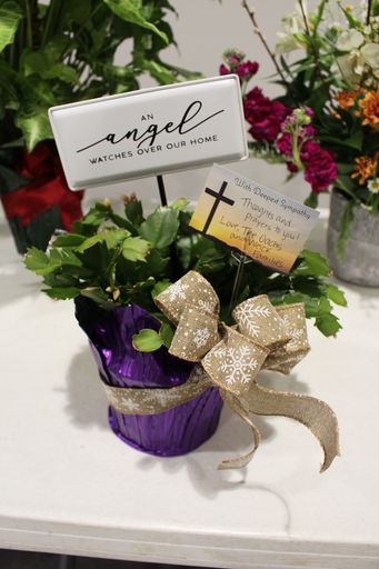 Lori Jean Gaulrapp photo gallery thumbnail 3 of 41