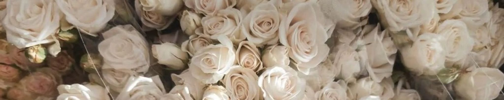 Cover for Jane J. Gladish's Obituary