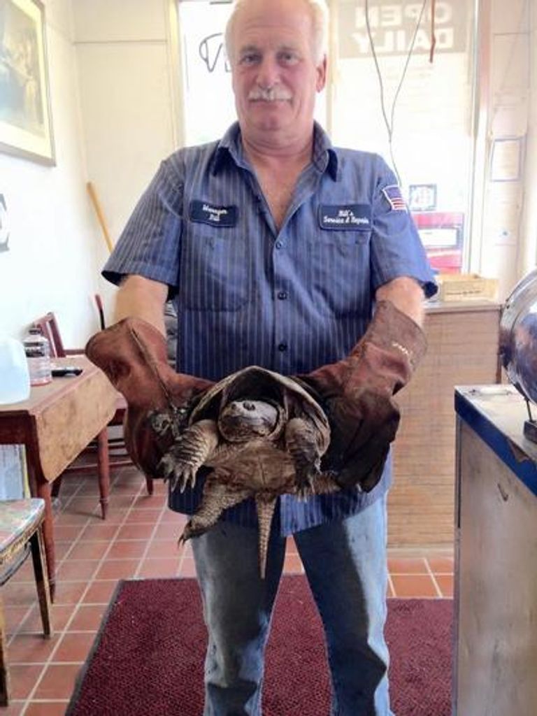 William "Bill" A. Carpenter, Sr.