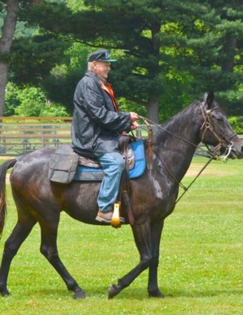 David P. Morse Profile Photo