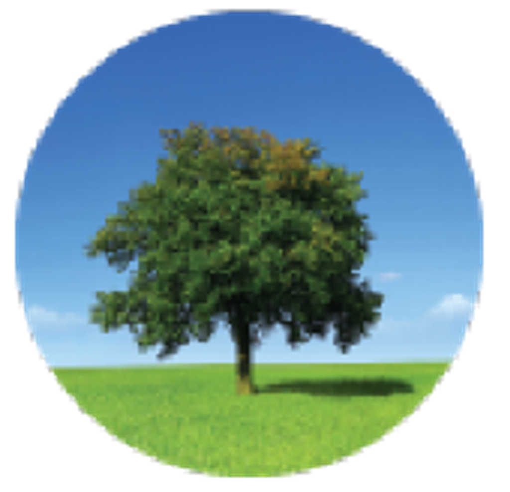 Dennis Ray Mr. Glass