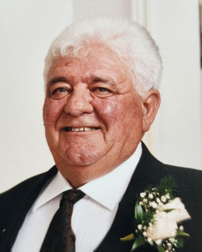 Mauro Vincenzo Virzi's obituary image
