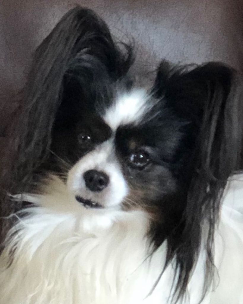 Bubba Alexander Profile Photo