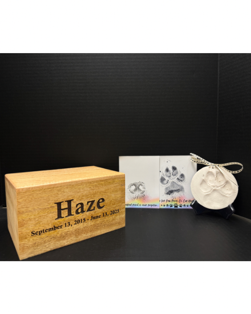 Haze Profile Photo