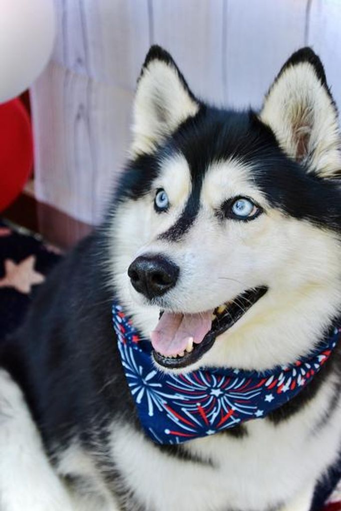 Diamond Rochelle Moseley