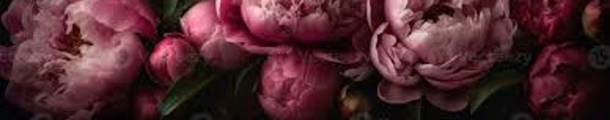 Cover for Marjorie Ann Balcerovich's Obituary