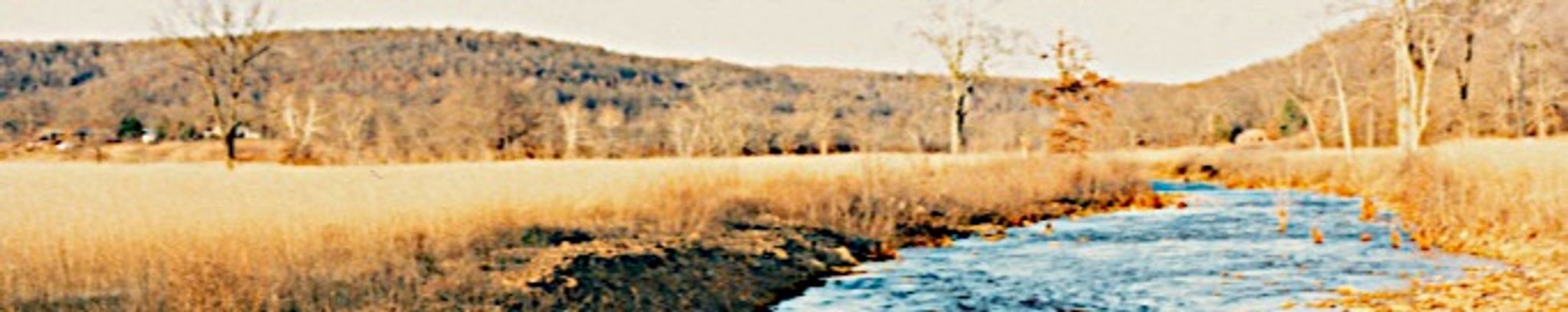 Cover for Joyce Keefner's Obituary