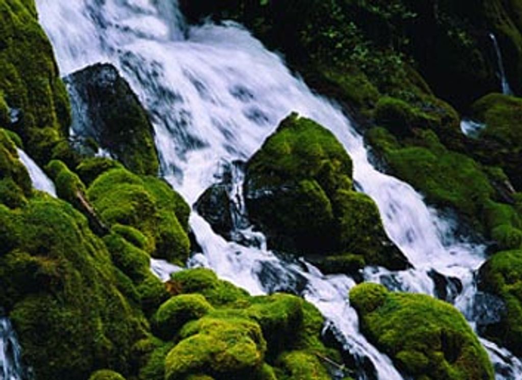 Ronald Harold Cowley