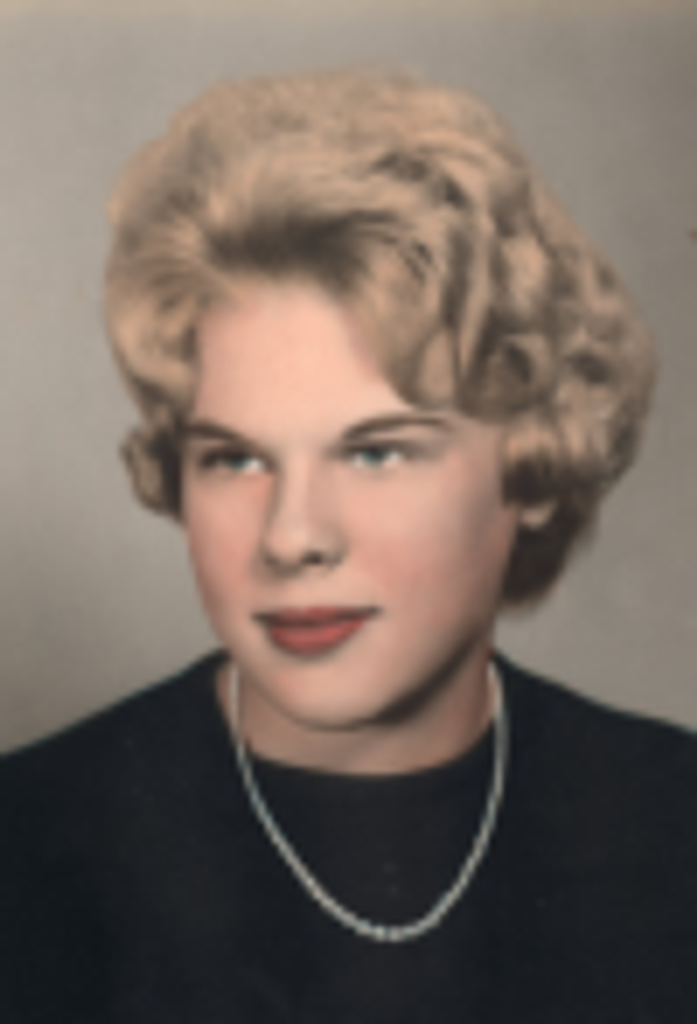 Patricia Ann Lewis Knotts