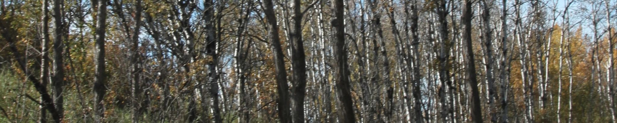 Cover photo for Gillian Gratton's Obituary