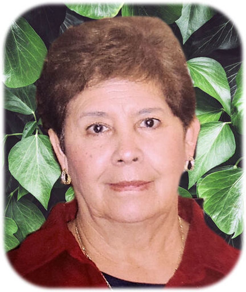 Lupe Bracamonte Profile Photo
