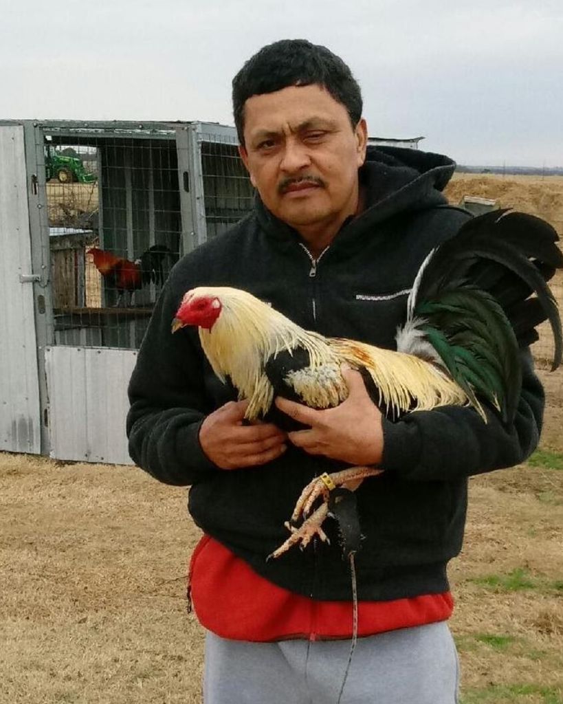 Misael Arellano Ugarte