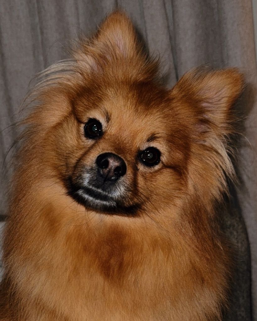 Graham “Grammy” Barnard Profile Photo