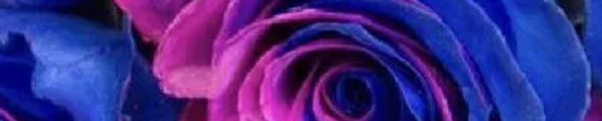 Cover for Bobette Antoinette Peters's Obituary