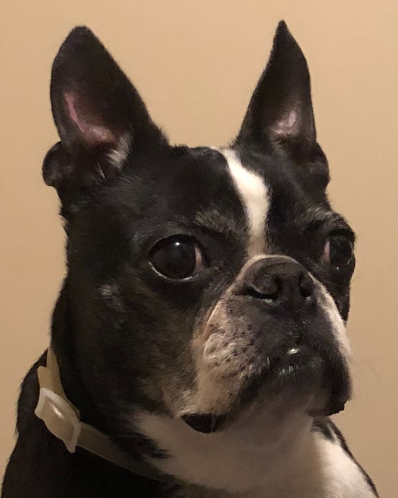 Lola "Bear" Profile Photo